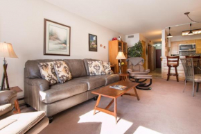  Ski Run Condominiums 203  Кистон